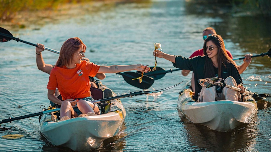 Skadar Lake: Self-Guided Bird Tour & Kayak Rental