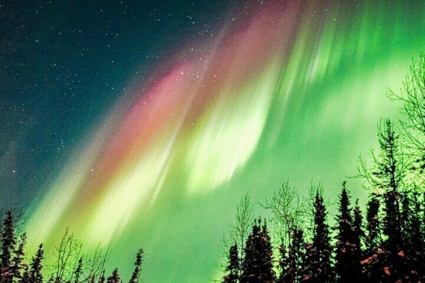 Northern Lights Photography Tour in Fairbanks 