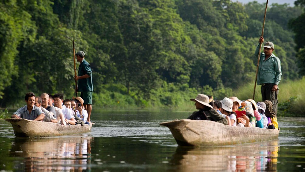 Picture 1 for Activity From Kathmandu or Pokhara: 3 Nights Chitwan Jungle Safari