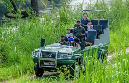 De Katmandou ou Pokhara : 3 nuits Chitwan Jungle Safari