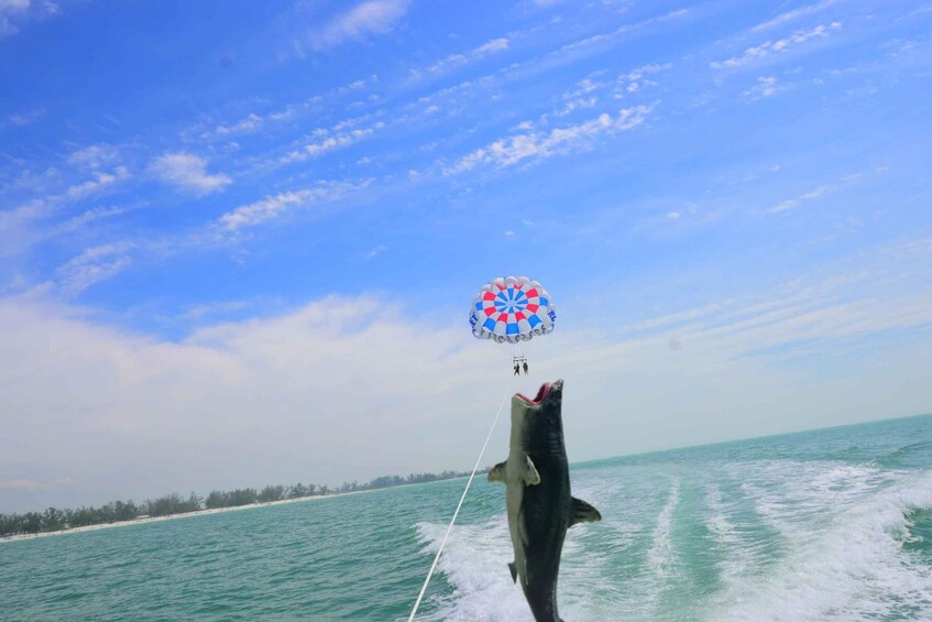 Picture 55 for Activity 90-Minute Parasailing Adventure in Anna Maria Island, FL