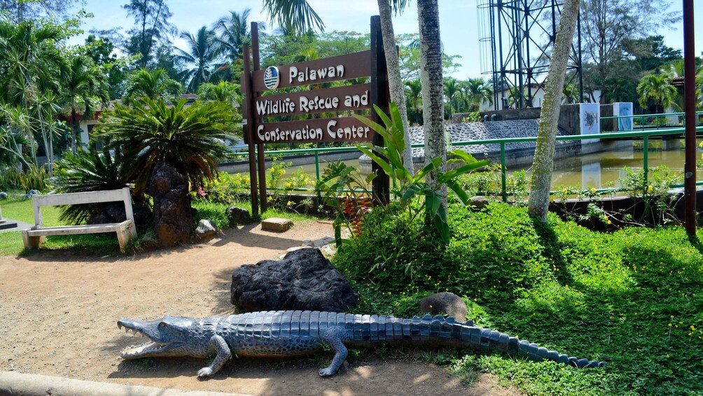 Wildlife Rescue and Conservation Center in Cebu