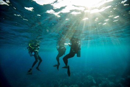 Scopri le immersioni subacquee nella spiaggia più iconica d'Australia