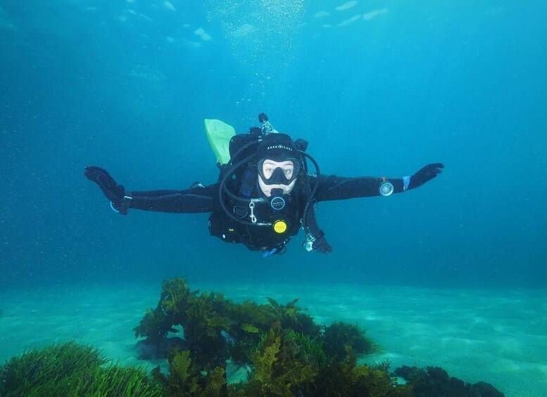 Picture 2 for Activity Discover Scuba Dive at Australia's most Iconic Beach