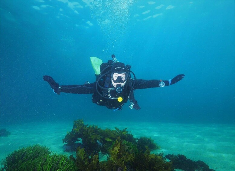 Picture 2 for Activity Discover Scuba Dive at Australia's most Iconic Beach