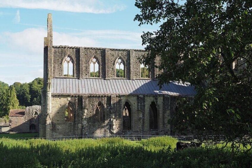 Wye Valley and Tintern Abbey Escape from Cardiff - Private Tour