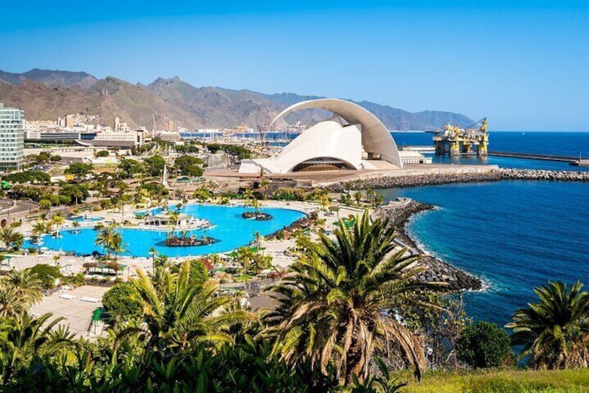 Full Day Private Shore Tour in Tenerife from Santa Cruz Port