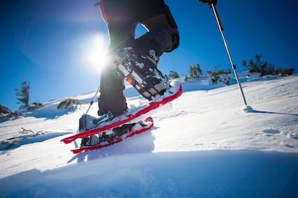 Winter Hiking Set for Snowshoes and Trek Poles