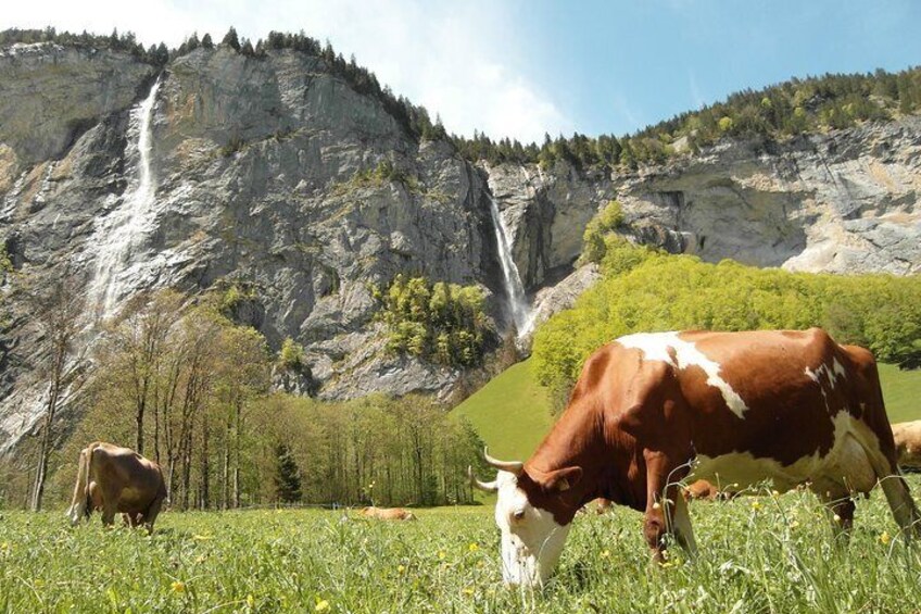 Cows, waterfalls and stunning views: what a magical Valley