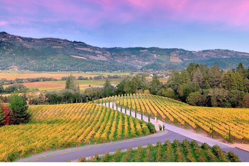 Private Napa Wine Tour Up To 6 Guests