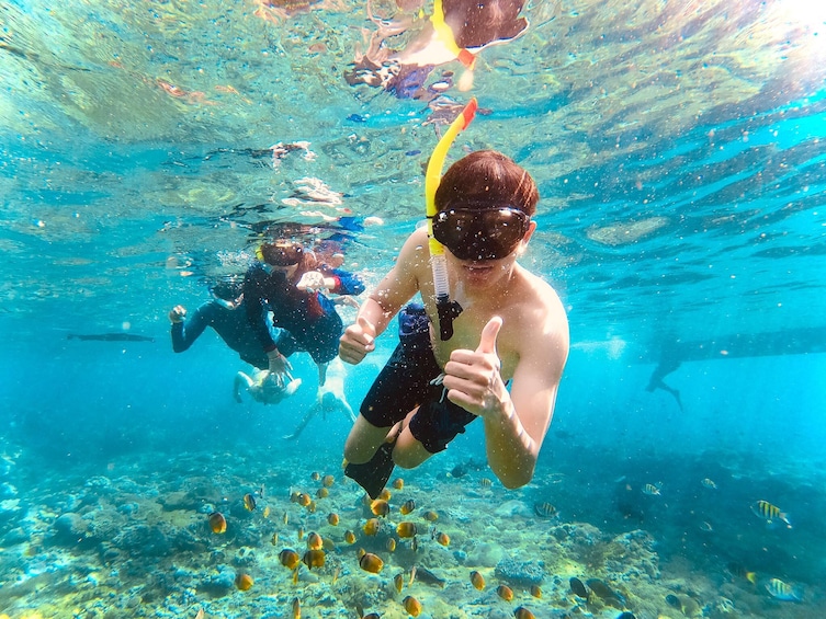 4 Spots Snorkeling Tour with Manta Rays