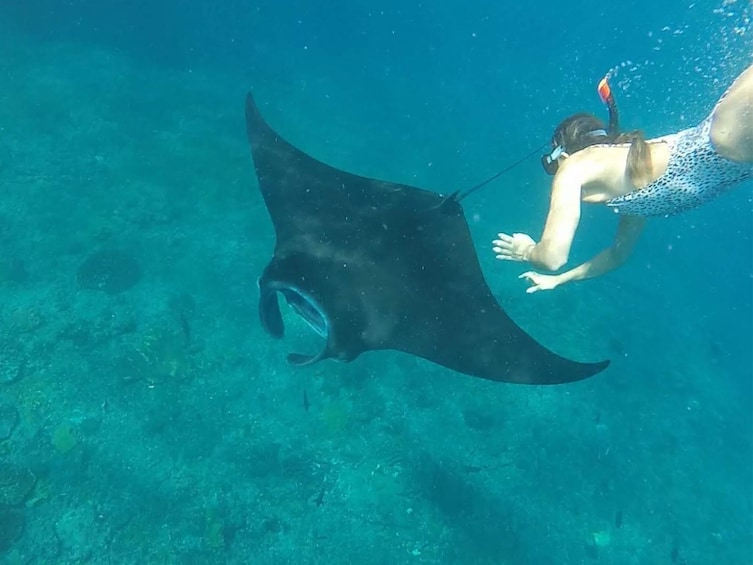 4 Spots Snorkeling Tour with Manta Rays