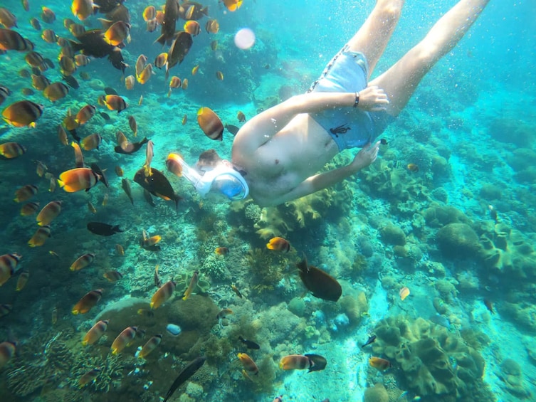 Nusa Penida: Guided Snorkeling Tour To See Manta Rays