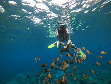 Excursion privée guidée de plongée en apnée à Nusa Penida