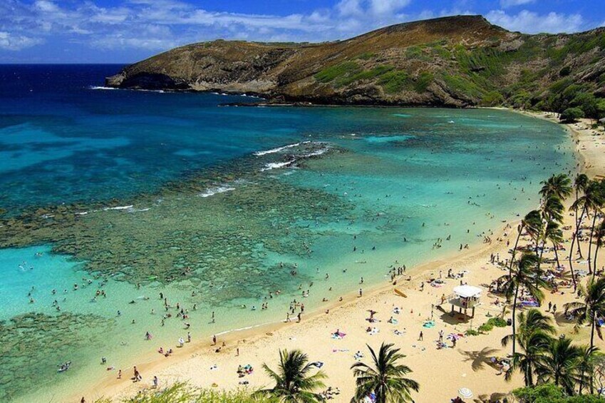 Hanauma Bay dazzles with its crystal-clear waters, vibrant marine life, and coral reefs, offering Oahu's snorkeling paradise. #HanaumaBeauty.