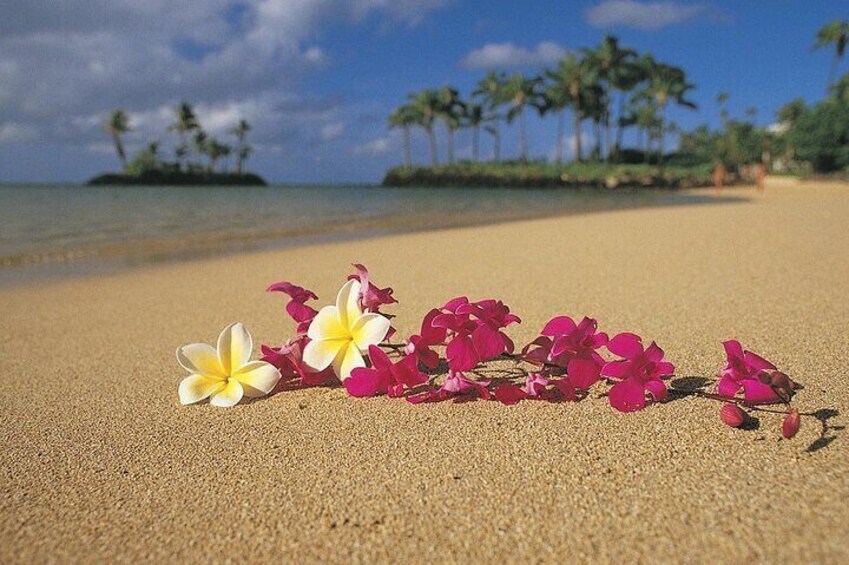 Amidst Oahu's pristine sands, the vibrant pua flower and delicate orchid bloom, capturing the island's essence in petals. #OahuFloralMagic.
