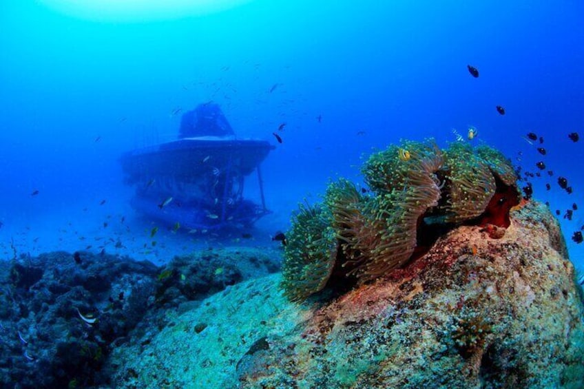 Mauritius Unique Submarine Tour 