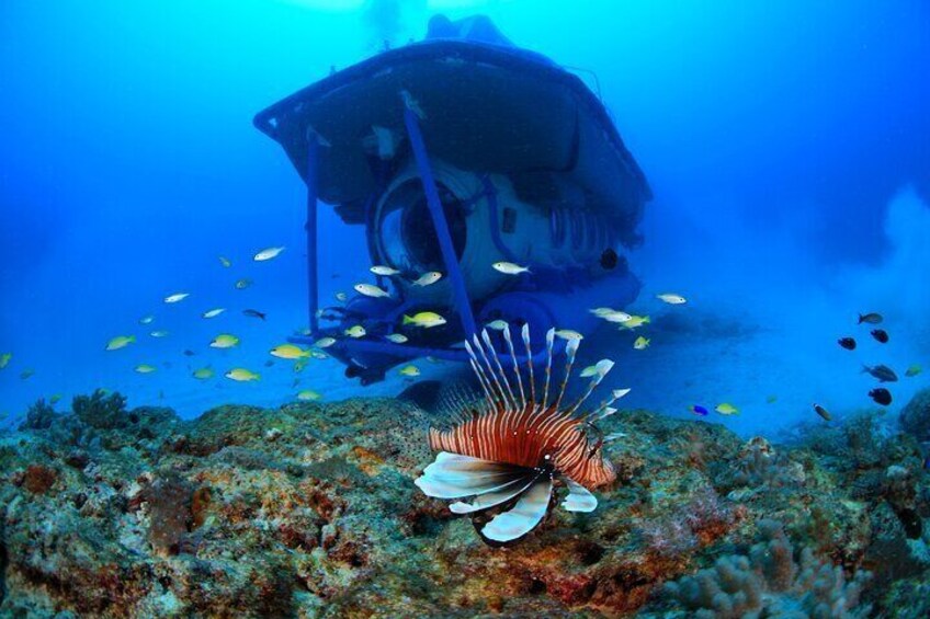 Mauritius Unique Submarine Tour 