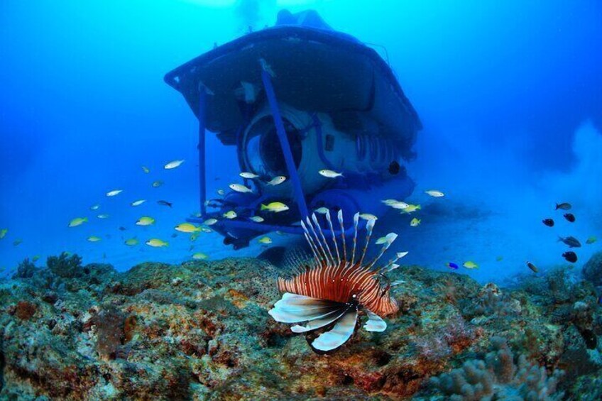 Mauritius Unique Submarine Tour