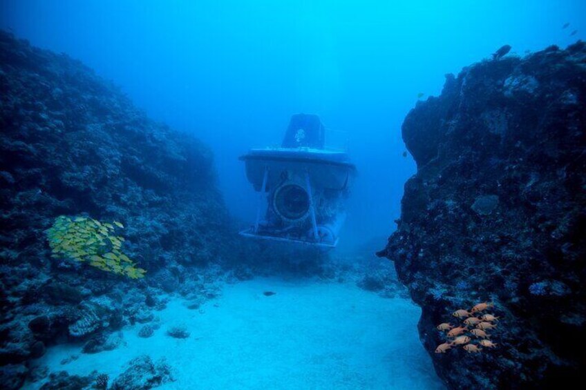 Mauritius Unique Submarine Tour 