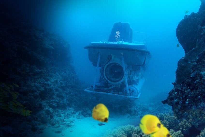 Mauritius Unique Submarine Tour