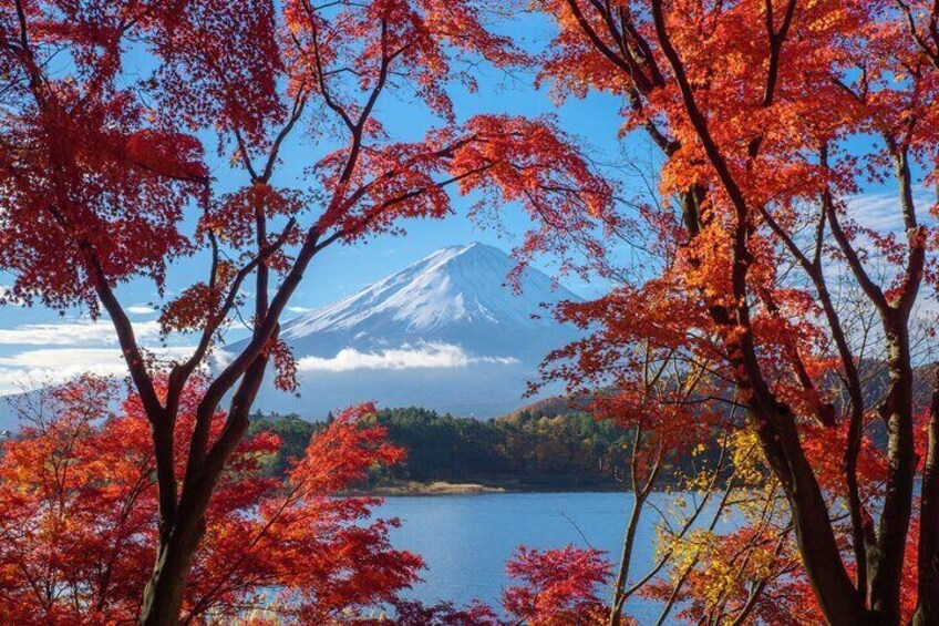 Private 1 Day Tour to Mt Fuji and Hakone: Onsen, Arts and Nature