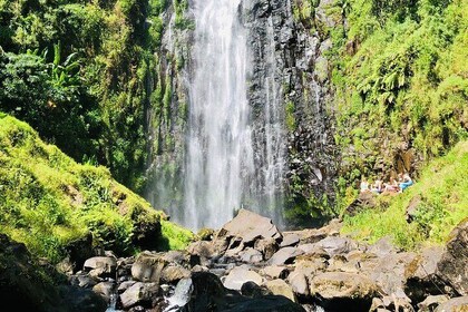 Materuni Waterfall, Coffee Tour and Picnic Hot Lunch