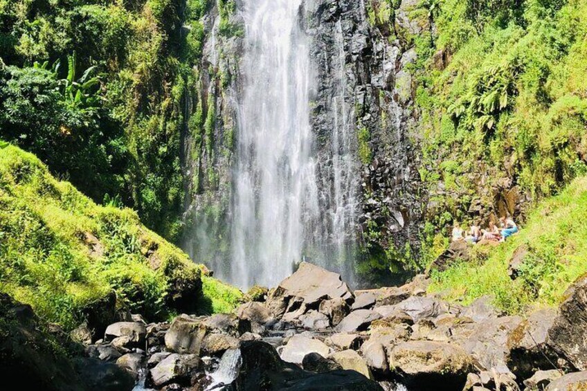 Private Coffee Tour with Materuni Waterfall Visit & Picnic Lunch