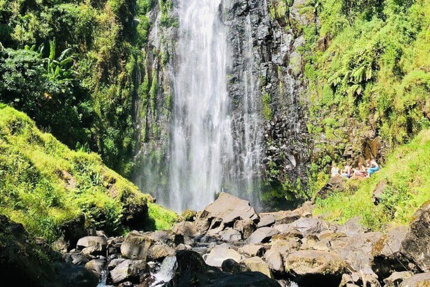 Private Coffee Tour with Materuni Waterfall Visit & Picnic Lunch