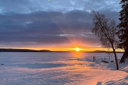 Guided Morning Snowmobile Adventure in Arctic Wilderness 8:30 am