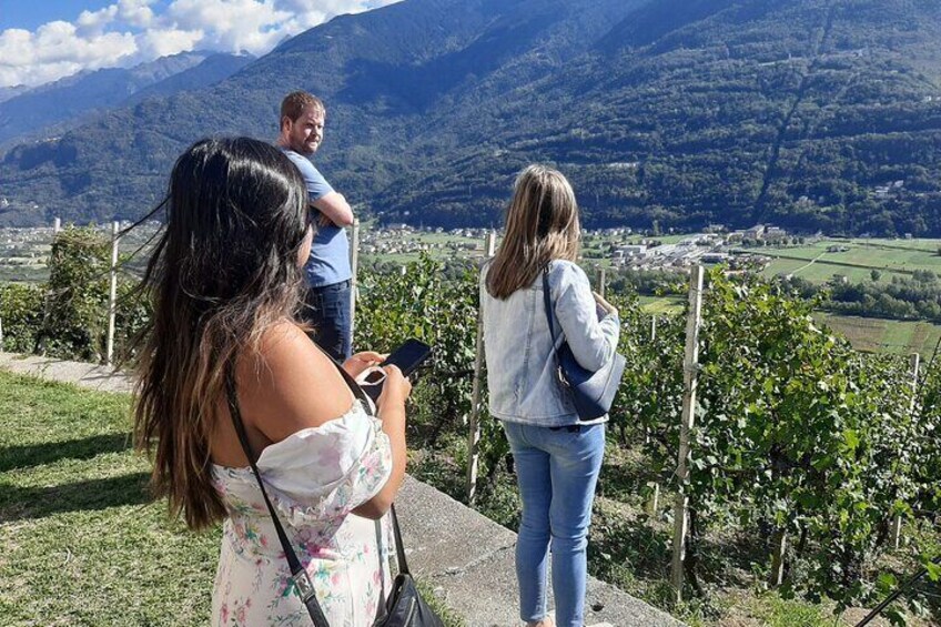 Private Wine Tour with the Alps in the background