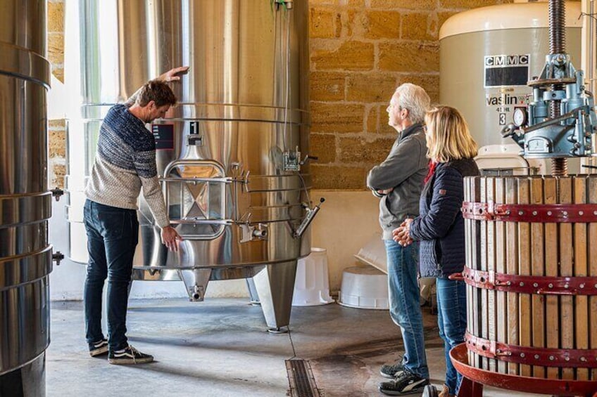 Saint-Émilion: Private Immersion in the Vineyard & Oenology Training