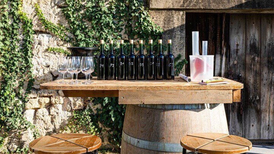 Saint-Émilion: Private Immersion in the Vineyard & Oenology Training