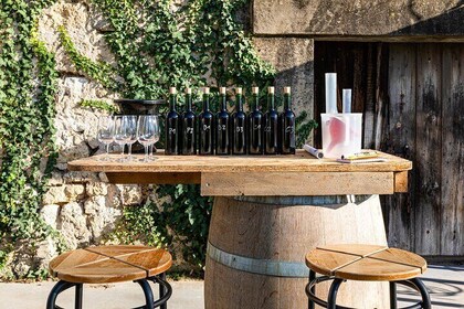 Saint-Émilion: Private Immersion in the Vineyard & Oenology Training