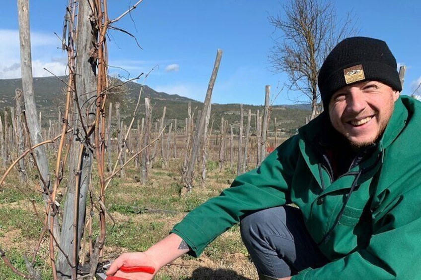 Saint-Émilion: Private Immersion in the Vineyard & Oenology Training