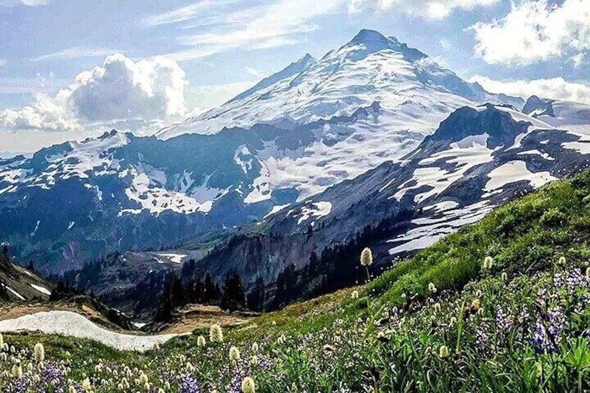 From Seattle - Enchanting Mt Baker and Cascades Tour in SUV