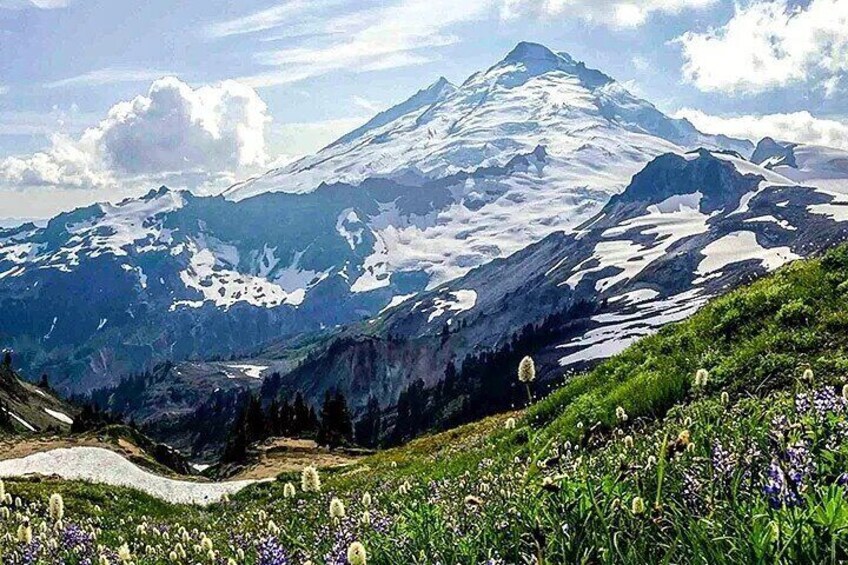 From Seattle - Enchanting Mt Baker and Cascades Tour in SUV