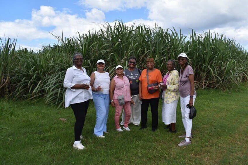 San Juan Distillers VIP Tour & Rum Tasting w/ Transportation