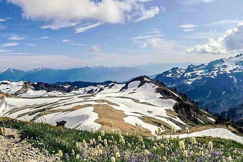 From Seattle - Private Mt Baker and Cascades Tour in SUV