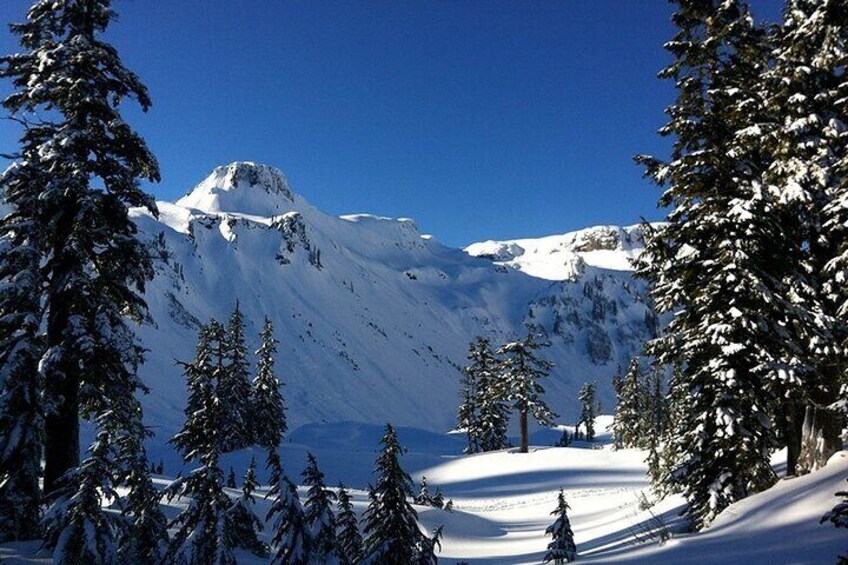 From Seattle - Private Mt Baker and Cascades Tour in SUV