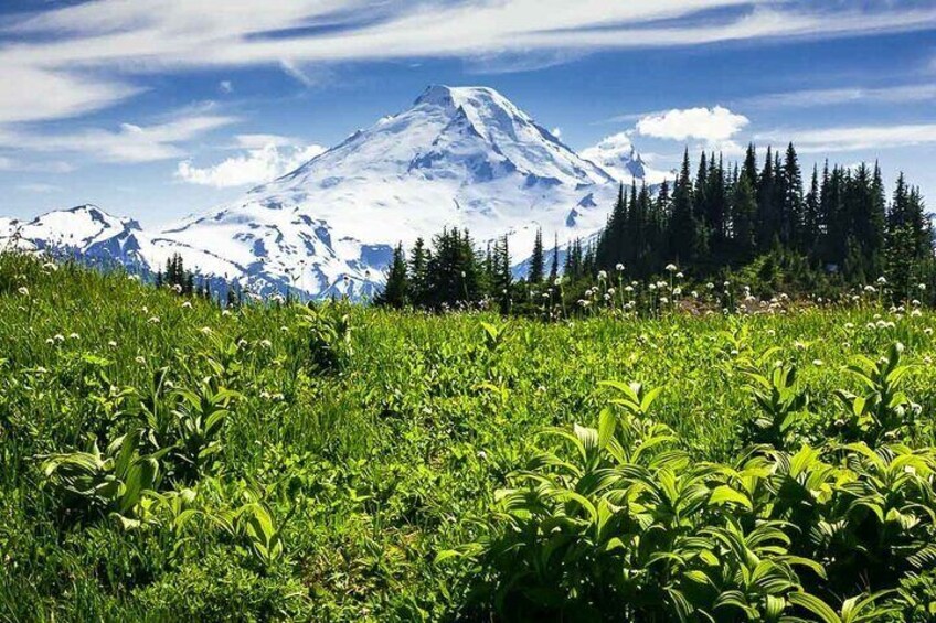 From Seattle - Private Mt Baker and Cascades Tour in SUV