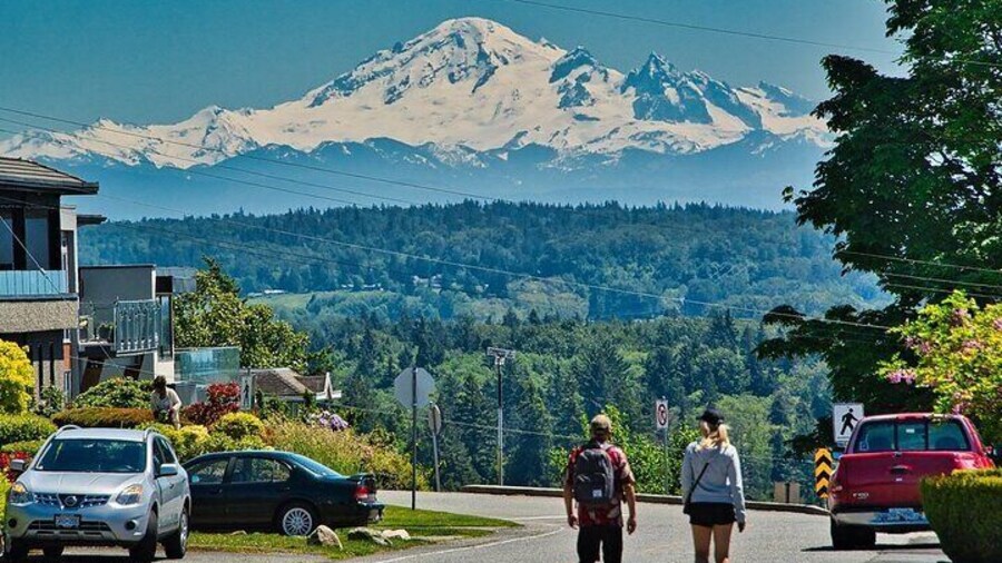 From Seattle - Private Mt Baker and Cascades Tour in SUV