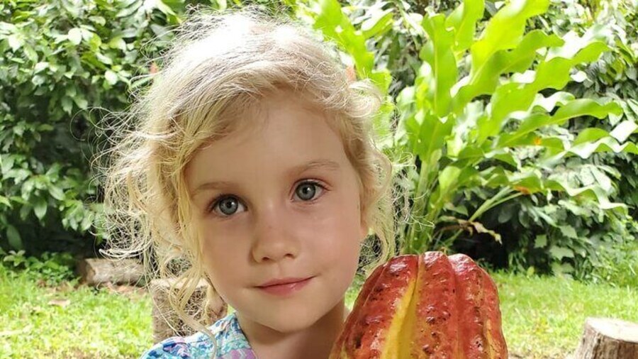 Chocolate Making Tour