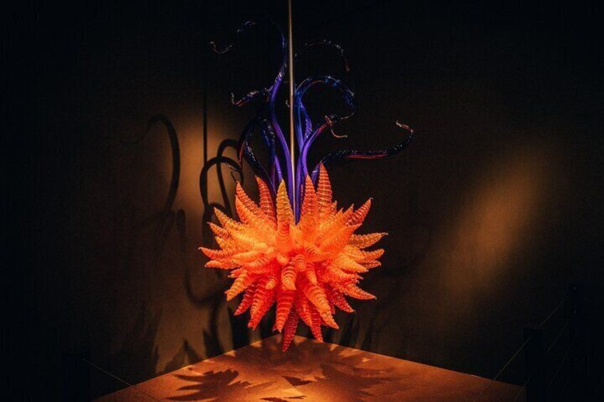 Explore gardens & galleries filled with incredible art, Matakana