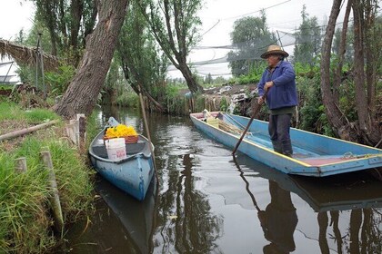 城市绿色探索霍奇米尔科城市生态保护区
