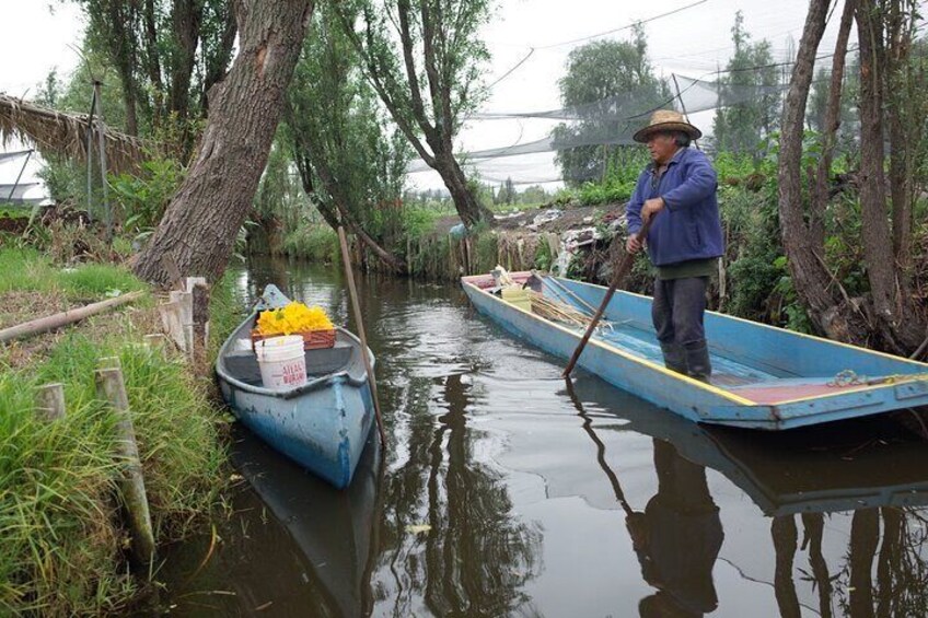 The City Green Exploring the Urban Eco Reserve of Xochimilco