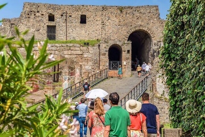 Pompeii: Tour with Priority Entrance and Guide from Naples