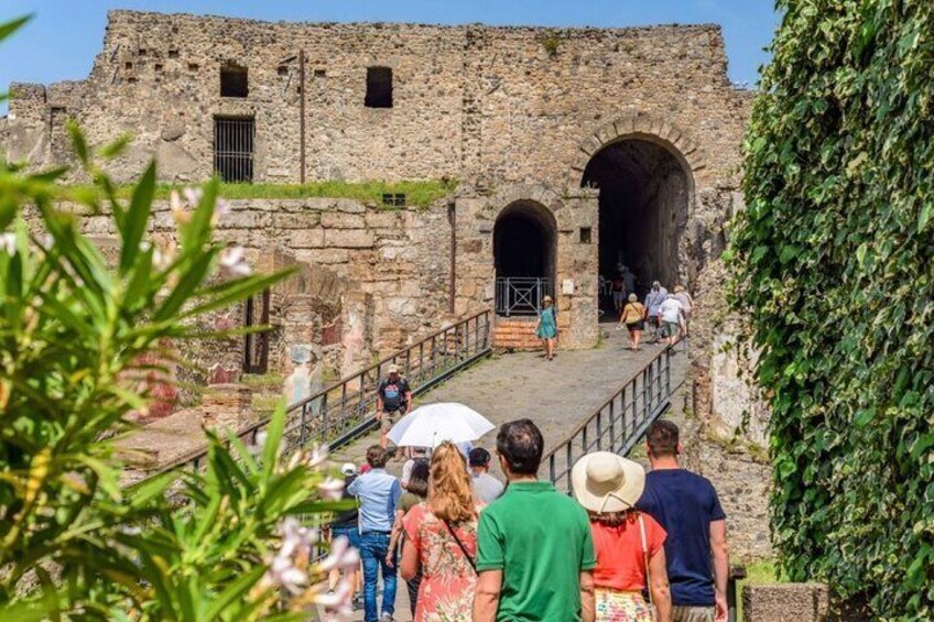 Pompeii: Tour with Priority Entrance and Guide from Naples