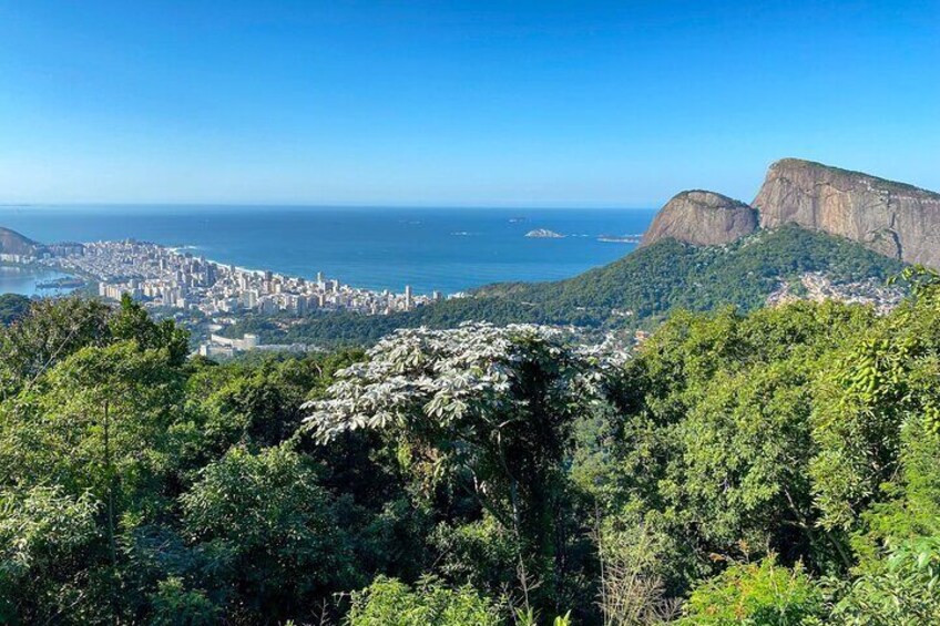 Tijuca Forest: Waterfall and Cave Tour