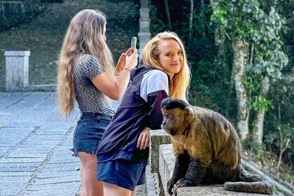 Tijuca Forest: Tour with Waterfalls and Caves